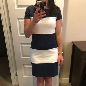 Navy/White striped mini